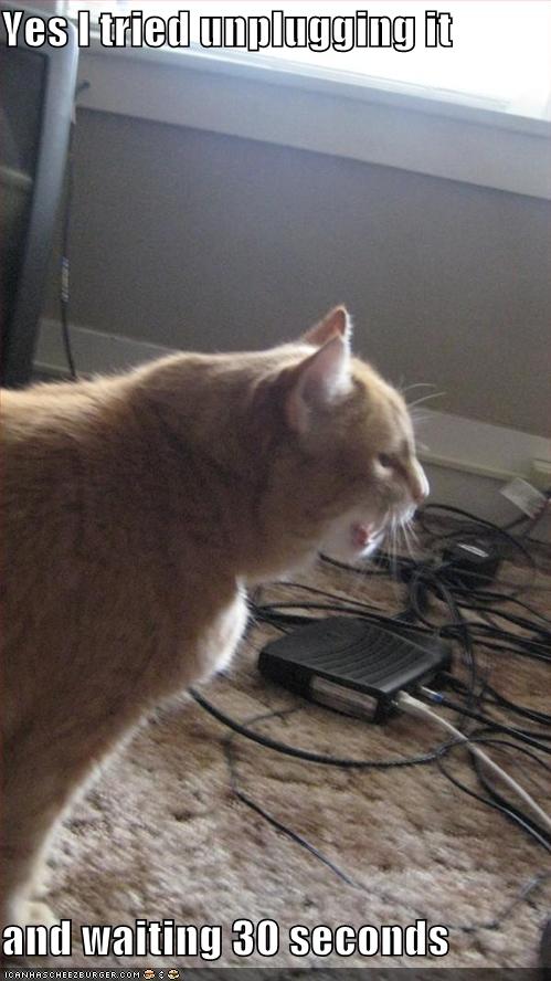 funny-pictures-cat-cable-modem