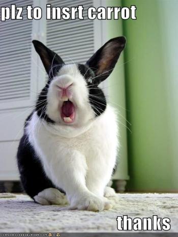 funny-pictures-rabbit-opens-mouth-for-carrot